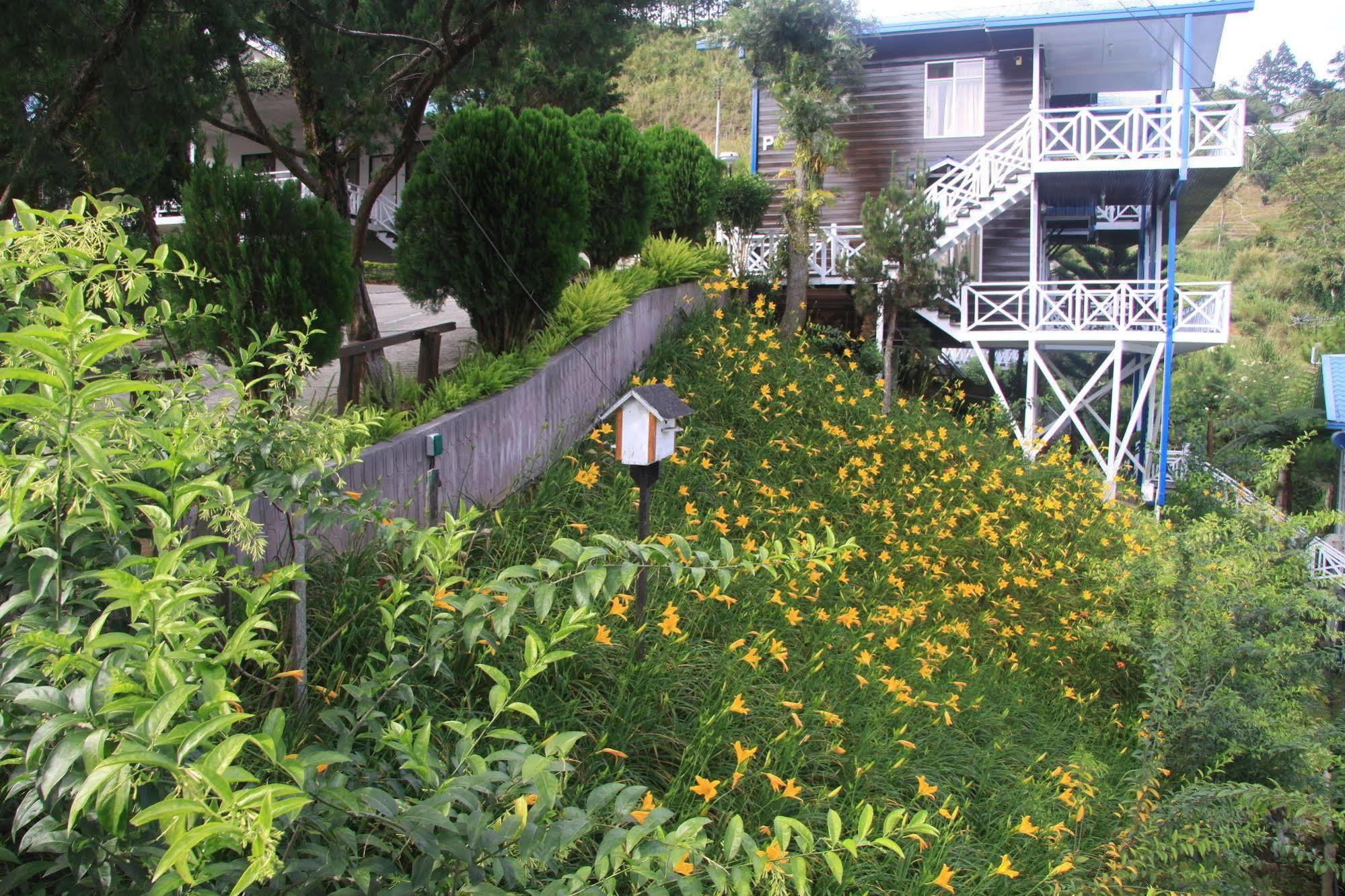 Kinabalu Pine Resort Kampong Kundassan Eksteriør billede